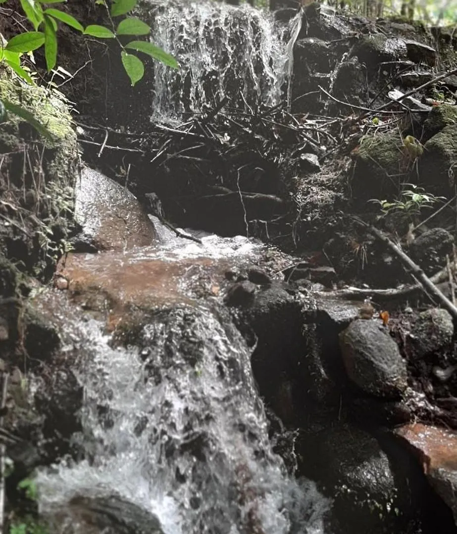 Woods Home Stay Athirappilly 0*,