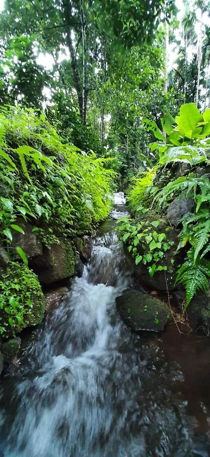 Homestay Woods Home Stay Athirappilly