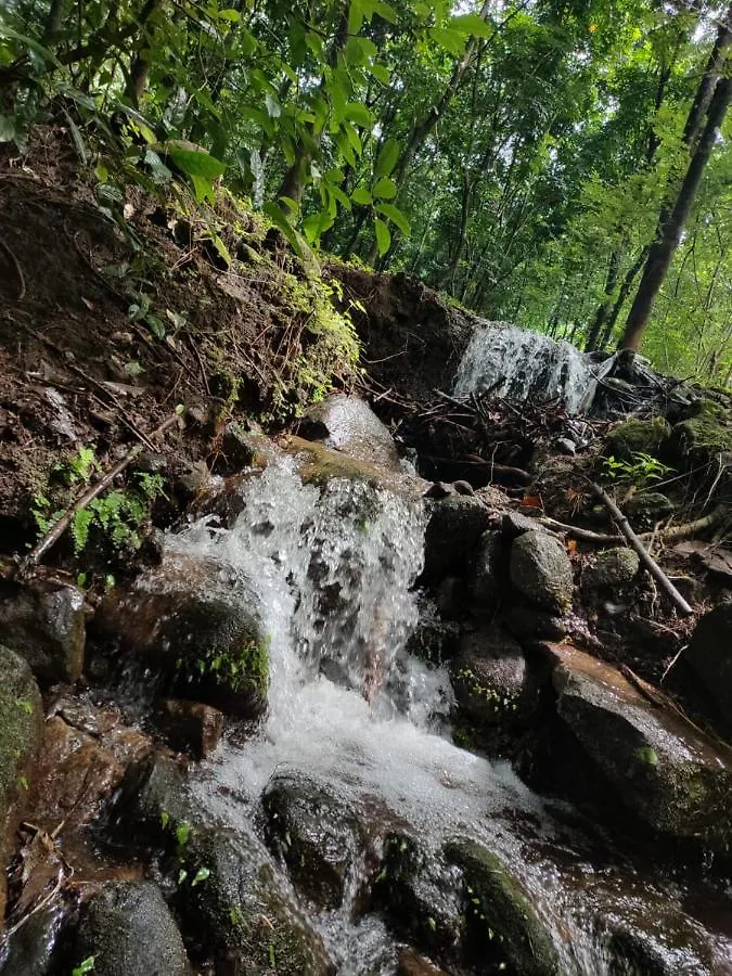 Woods Home Stay Athirappilly