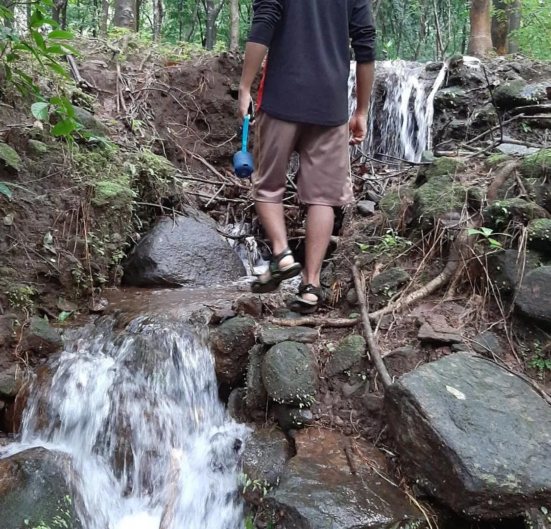 Homestay Woods Home Stay Athirappilly